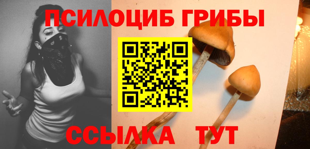Псилоцибиновые грибы мицелий  Галлюциногенные грибы Psilocybine cubensis  Минеральные Воды  Вход с VPN 